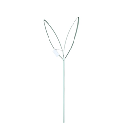 Zápich králičí ouška 58 cm zelená - velkoobchod, dovoz květin, řezané květiny Brno