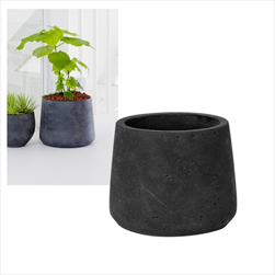 Obal Patt M black washed 16,5 x 14 cm - velkoobchod, dovoz květin, řezané květiny Brno