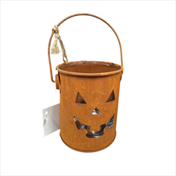 Dýně rusty lucerna  8 x 8 cm - velkoobchod, dovoz květin, řezané květiny Brno