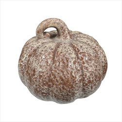 Dýně 12 x 13,5 cm tmavě hnědá - velkoobchod, dovoz květin, řezané květiny Brno