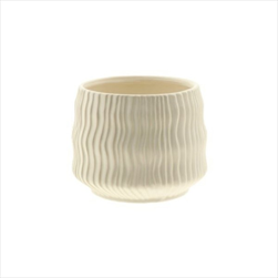 Obal Kari pr. 19/v. 15 cm krémový - velkoobchod, dovoz květin, řezané květiny Brno