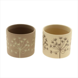 Obal Anethum pr. 13,5/v. 12,5 cm - velkoobchod, dovoz květin, řezané květiny Brno