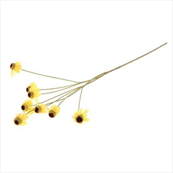 Rudbeckia 87 cm žlutá - velkoobchod, dovoz květin, řezané květiny Brno