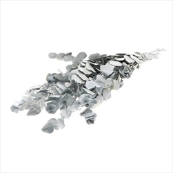 Eucalyptus espiral stabilizovaný 150 g bílý - velkoobchod, dovoz květin, řezané květiny Brno