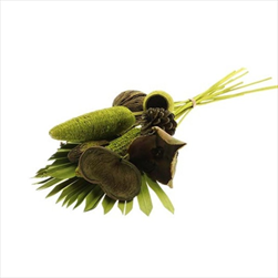 Svazek Exotic mix zelený - velkoobchod, dovoz květin, řezané květiny Brno