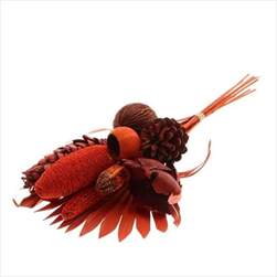 Svazek Exotic mix oranžový - velkoobchod, dovoz květin, řezané květiny Brno