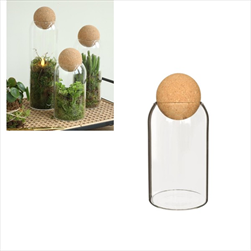 Terárium Sienna pr. 8,5/v. 19 cm - velkoobchod, dovoz květin, řezané květiny Brno