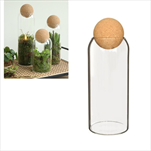 Terárium Sienna pr. 8,5/v. 29 cm - velkoobchod, dovoz květin, řezané květiny Brno