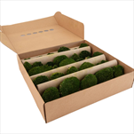 Stabilizovaný Mini Ball moss 0,16 m2 nature green - velkoobchod, dovoz květin, řezané květiny Brno