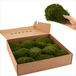 Stabilizovaný Mood moss 0,2 m2 nature green - velkoobchod, dovoz květin, řezané květiny Brno