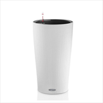 V OBAL CILINDRO/32 WHITE KOMPLET - velkoobchod, dovoz květin, řezané květiny Brno