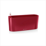 V OBAL DELTA/10 red - velkoobchod, dovoz květin, řezané květiny Brno