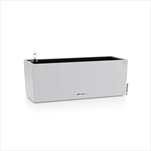 V OBAL BALCONERA/50 STONE BÍLÁ - velkoobchod, dovoz květin, řezané květiny Brno