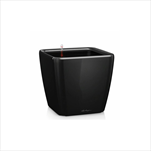 V OBAL QUADRO/21 LS BLACK - velkoobchod, dovoz květin, řezané květiny Brno