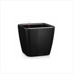 V OBAL QUADRO/28 LS BLACK - velkoobchod, dovoz květin, řezané květiny Brno