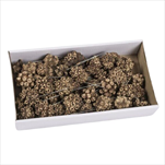 SU Spidergum na Drátku Přírodní 55ks - velkoobchod, dovoz květin, řezané květiny Brno