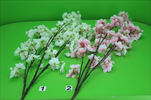 UK Třešeň větev  - velkoobchod, dovoz květin, řezané květiny Brno