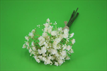 Uk Gypsophila 30cm krémová - velkoobchod, dovoz květin, řezané květiny Brno