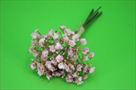 Uk Gypsophila 30cm růžová - velkoobchod, dovoz květin, řezané květiny Brno