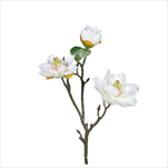 Uk magnolie 36 cm krémová - velkoobchod, dovoz květin, řezané květiny Brno