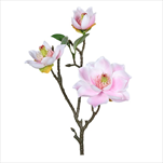 Uk magnolie 36 cm růžová - velkoobchod, dovoz květin, řezané květiny Brno