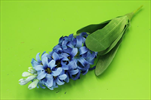 Uk Hyacint 40cm modrý - velkoobchod, dovoz květin, řezané květiny Brno