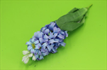Uk Hyacint 40cm fialový - velkoobchod, dovoz květin, řezané květiny Brno