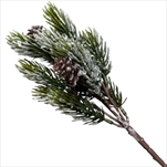 Uk větvička borovice 38cm šiška - velkoobchod, dovoz květin, řezané květiny Brno
