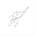 Uk větev dekorační 30 cm bílá - velkoobchod, dovoz květin, řezané květiny Brno