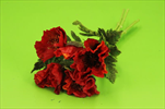 Uk vlčí mák 34cm červený - velkoobchod, dovoz květin, řezané květiny Brno