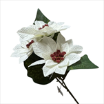 Uk Poinsettia 40cm krémová - velkoobchod, dovoz květin, řezané květiny Brno