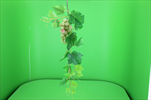 Uk girlanda vinná réva 60cm s hrozny zelená - velkoobchod, dovoz květin, řezané květiny Brno