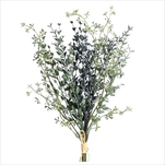 Uk svazek zeleně 48 cm - velkoobchod, dovoz květin, řezané květiny Brno