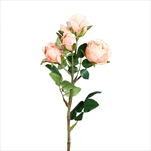 Uk růže mini 39 cm broskvová - velkoobchod, dovoz květin, řezané květiny Brno