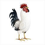 Kohout kov 37 cm krémový - velkoobchod, dovoz květin, řezané květiny Brno