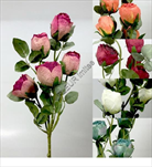 UK Růže x5 Vintage 70cm - velkoobchod, dovoz květin, řezané květiny Brno