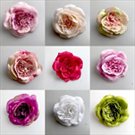 UK růže vazb. květ 11cm - Mary Rose - velkoobchod, dovoz květin, řezané květiny Brno