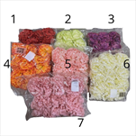 Uk květ karafiát 6cm - velkoobchod, dovoz květin, řezané květiny Brno