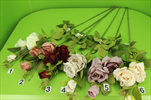 UK Růže větev - velkoobchod, dovoz květin, řezané květiny Brno