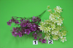UK Wax kytička fuchsie, bilá - velkoobchod, dovoz květin, řezané květiny Brno