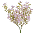 UK Wax kytička růžová - velkoobchod, dovoz květin, řezané květiny Brno