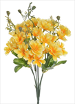 UK Kytička clematis květ žlutá - velkoobchod, dovoz květin, řezané květiny Brno