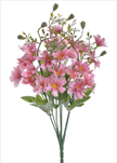 UK Kytička clematis květ růžová - velkoobchod, dovoz květin, řezané květiny Brno