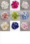 Uk Květ hortenzie 16cm - velkoobchod, dovoz květin, řezané květiny Brno
