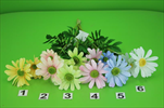 UK Kopretina barevná mix6 - velkoobchod, dovoz květin, řezané květiny Brno