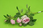 UK Růže větev mini 52cm - velkoobchod, dovoz květin, řezané květiny Brno