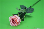UK Růže X1 72cm MISTY ROSE - velkoobchod, dovoz květin, řezané květiny Brno