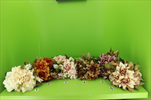 UK Kytice kulatá Jiřina - velkoobchod, dovoz květin, řezané květiny Brno