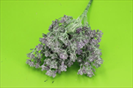 UK Drobná kytička powder fial. - velkoobchod, dovoz květin, řezané květiny Brno