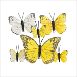 Do motýl na klipu 5 -12 cm 6 ks - velkoobchod, dovoz květin, řezané květiny Brno